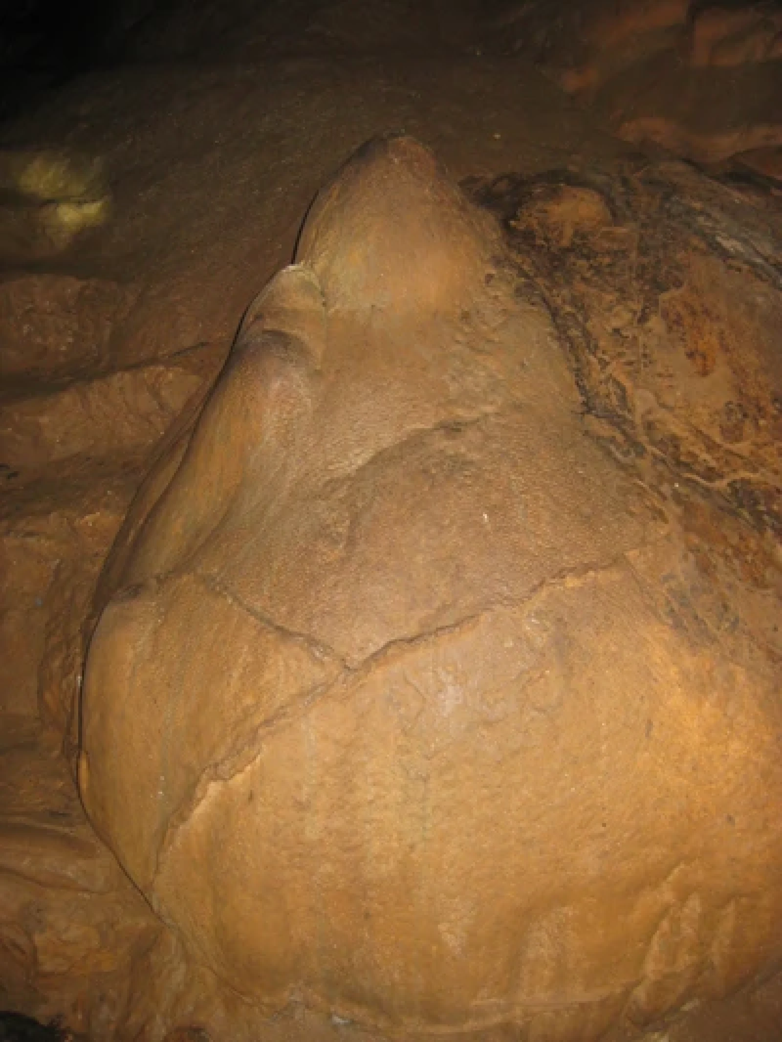 Hình ảnh Măng Đá tại Động Tiên